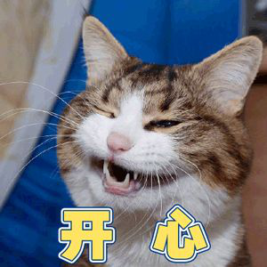 南京人的“裝修恐懼癥”，終于有救了