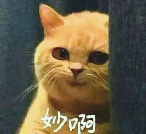 春節(jié)發(fā)紅包 | 體驗紅牛裝飾“數(shù)字家裝”