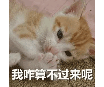 別等618了，本周末就能鎖定裝修優(yōu)惠！