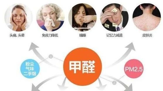 春季家裝節(jié)，綠色煥新月，優(yōu)惠享不停！