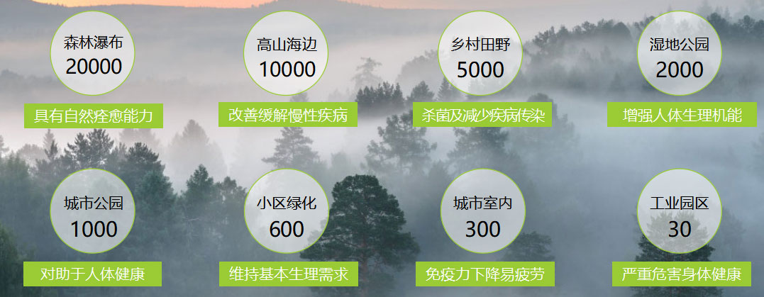 618家裝風(fēng)暴｜健康養(yǎng)生墻面全城首發(fā)！