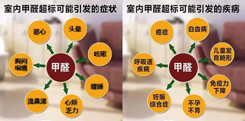 擔心家里甲醛超標，教您一招，安安心心住新家！