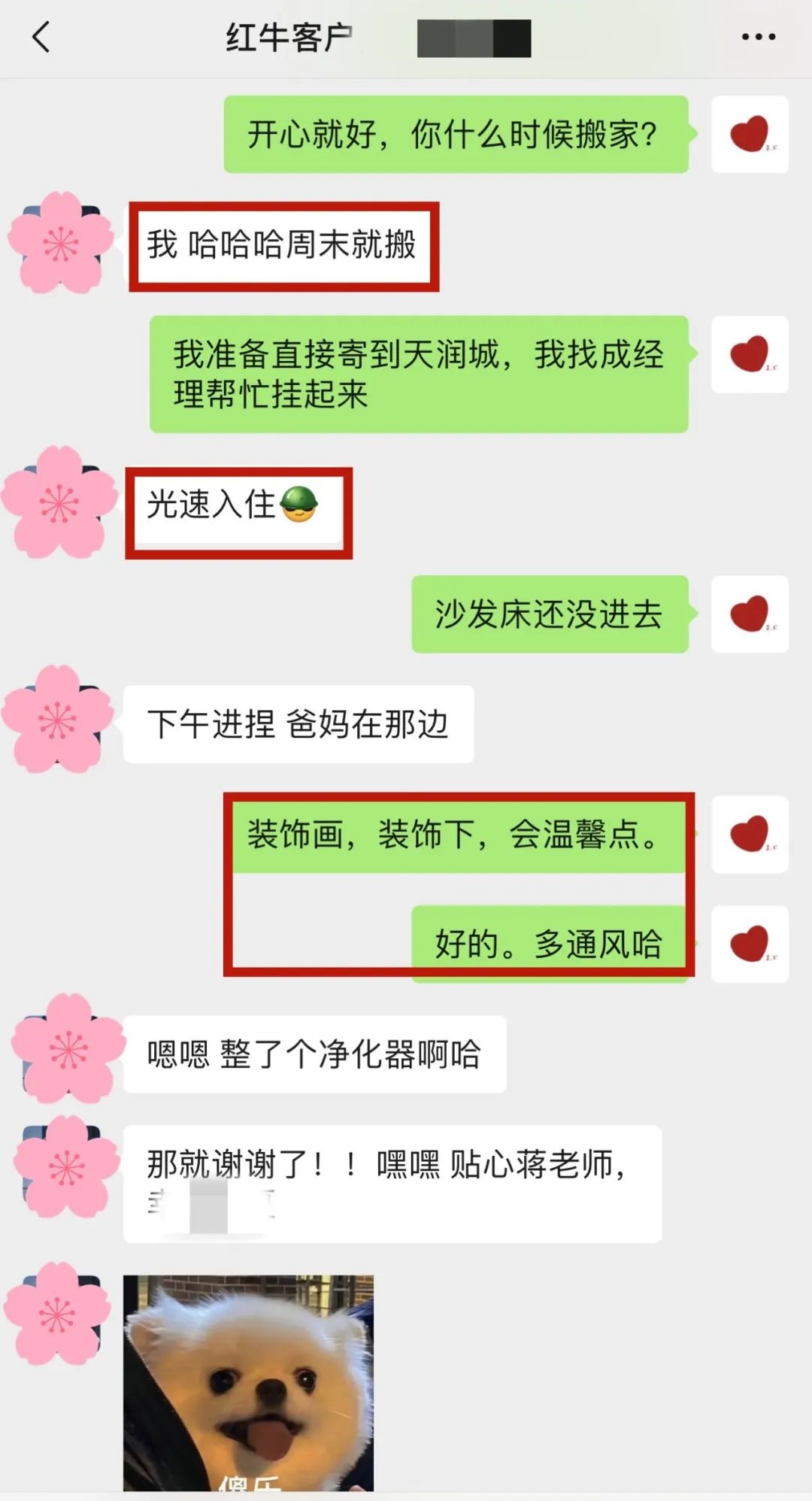 喜報(bào)｜金秋十月，收獲滿滿，紅牛裝飾再獲三面錦旗！